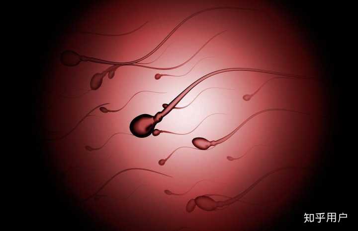 供卵二代自怀试管移植后胚胎未能着床怎么办？