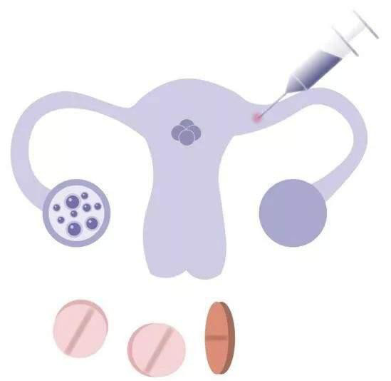 如何计算赠卵助孕代生试管的最后一次月经和预产期？