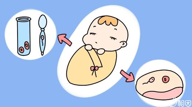 卵巢位置异常,影响南京国内同性恋试管代怀取卵操作吗