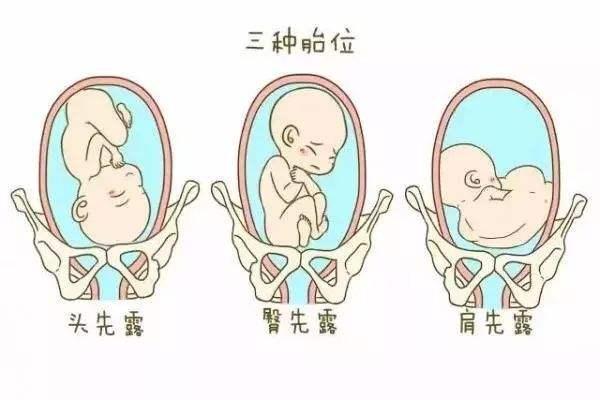 南京市中心人民医院三代自怀试管婴儿什么时候花钱最多